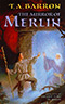 The Mirror of Merlin